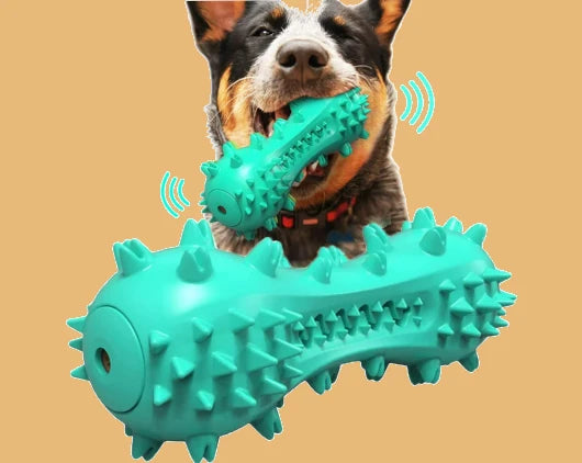 Chew Dog Toys