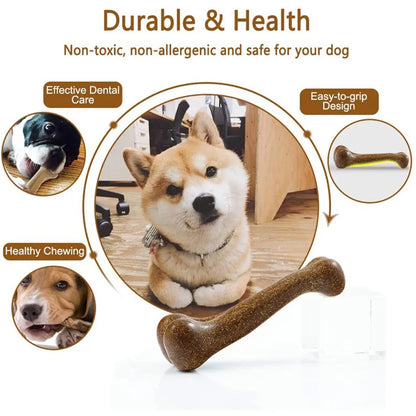 Indestructible Dog Chew Toy - Natural, Dental Care (US)
