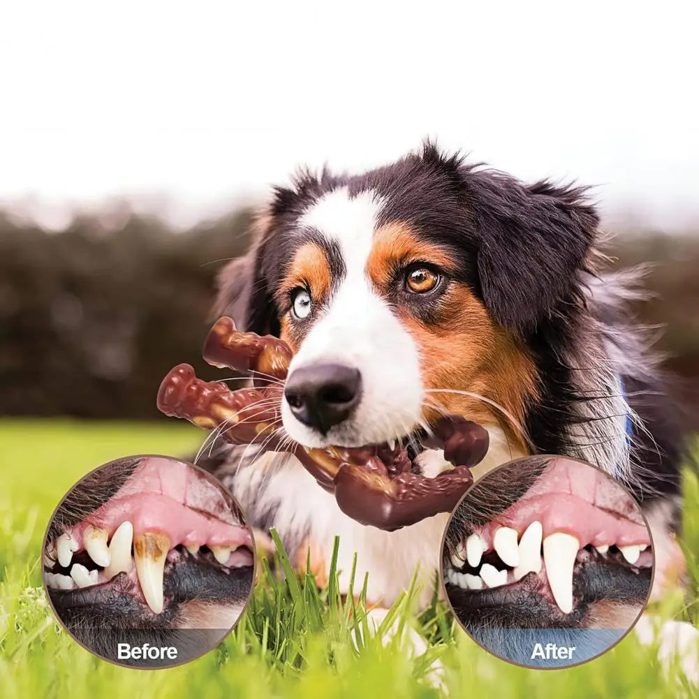 Durable Gorilla Chew Toy for Dogs - Clean Teeth, Reduce Boredom (US)